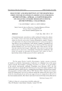 Discovery and Description of the Hospicidal First Instar of EPEOLUS
