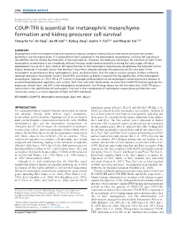 COUP-TFII Is Essential for Metanephric Mesenchyme Formation and Kidney Precursor Cell Survival Cheng-Tai Yu1, Ke Tang1, Jae Mi Suh1,*, Rulang Jiang3, Sophia Y