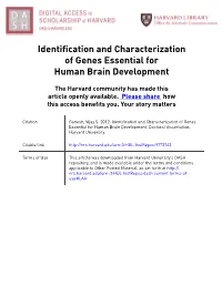 Identification and Characterization of Genes Essential for Human Brain Development