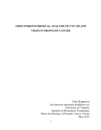 Immunohistochemical Analysis of Unc13b and Ubap2 in Prostate Cancer