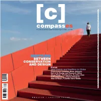 Restyling Between Conservation and Design