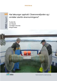 1450 Har Laksunger Opphold I Drammensfjorden Og I Områder Utenfor Elvemunningene?
