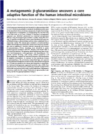 A Metagenomic Β-Glucuronidase Uncovers a Core Adaptive Function of the Human Intestinal Microbiome