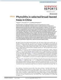 Phytoliths in Selected Broad-Leaved Trees in China