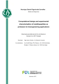 Computational Design and Experimental Characterization of Metallopeptides As Proteases for Bioengineering Applications