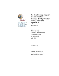 Baseline Hydrogeological Characterization Concrete Gravity Structure Graving Dock Site