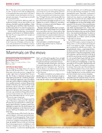 Mammals on the Move
