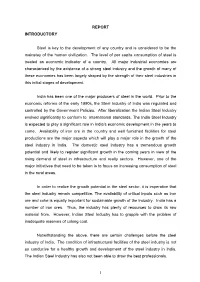 1 REPORT INTRODUCTORY Steel Is Key to the Development of Any