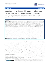 Identification of Diverse Full-Length Endogenous Betaretroviruses In