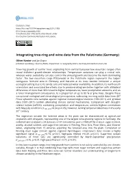 Integrating Tree-Ring and Wine Data from the Palatinate (Germany)