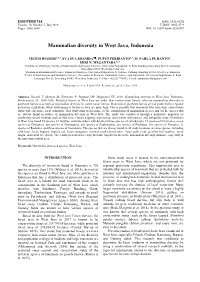 Mammalian Diversity in West Java, Indonesia
