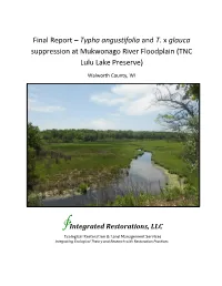 Typha Angustifolia and T