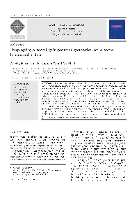 Employing a Novel Gait Pattern Generator on a Social Humanoid Robot
