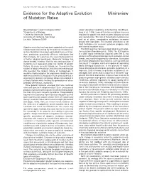 Evidence for the Adaptive Evolution Minireview of Mutation Rates