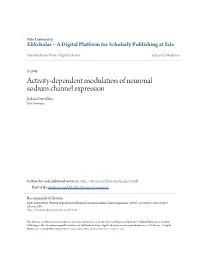 Activity-Dependent Modulation of Neuronal Sodium Channel Expression Joshua Peter Klein Yale University