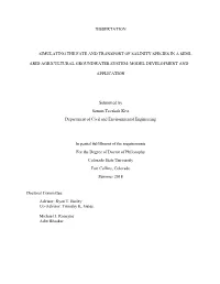 Dissertation Simulating the Fate And