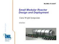 Small Modular Reactor Design and Deployment