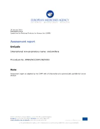 Assessment Report
