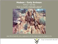 Hadean-Archean Habitability