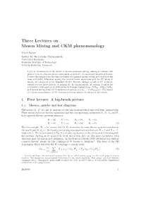Three Lectures on Meson Mixing and CKM Phenomenology