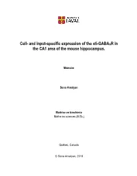 And Input-Specific Expression of the Α5-GABAAR in the CA1 Area of the Mouse Hippocampus