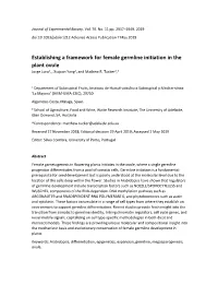 Establishing a Framework for Female Germline Initiation in the Plant Ovule Jorge Lora1, , Xiujuan Yang2, and Mathew R