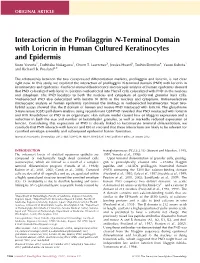 Interaction of the Profilaggrin N-Terminal Domain with Loricrin in Human Cultured Keratinocytes and Epidermis Kozo Yoneda1, Toshitaka Nakagawa2, Owen T