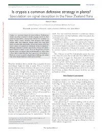 Is Crypsis a Common Defensive Strategy in Plants? Speculation on Signal Deception in the New Zealand Flora