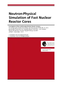 Neutron-Physical Simulation of Fast Nuclear Reactor Cores