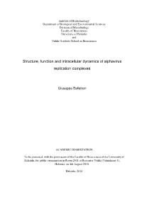 Structure, Function and Intracellular Dynamics of Alphavirus Replication Complexes