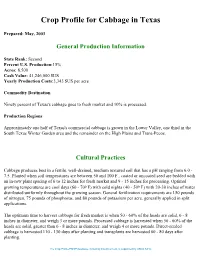 Crop Profile for Cabbage in Texas