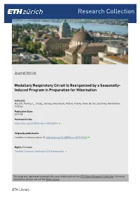Medullary Respiratory Circuit Is Reorganized by a Seasonally- Induced Program in Preparation for Hibernation