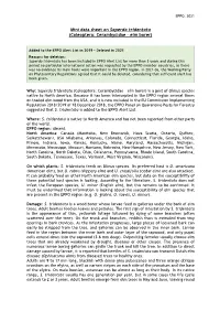 Mini Data Sheet on Saperda Tridentata (Coleoptera: Cerambycidae – Elm Borer)