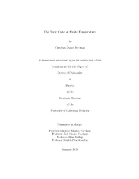 The Toric Code at Finite Temperature by Christian Daniel Freeman A