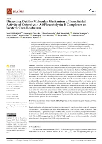 Dissecting out the Molecular Mechanism of Insecticidal Activity of Ostreolysin A6/Pleurotolysin B Complexes on Western Corn Rootworm