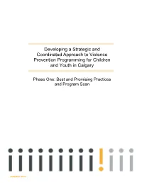 Developing a Strategic and Coordinated Approach to Violence Prevention Programming for Children and Youth in Calgary