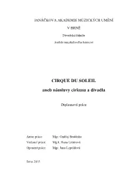Cirque Du Soleil Aneb Námluvy Cirkusu a Divadla