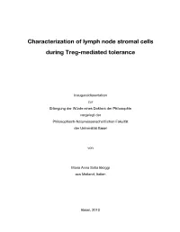 Characterization of Lymph Node Stromal Cells During Treg-Mediated Tolerance