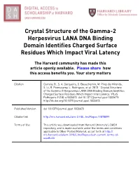 Crystal Structure of the Gamma-2 Herpesvirus LANA DNA Binding Domain Identifies Charged Surface Residues Which Impact Viral Latency