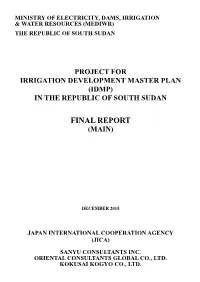 IDMP Main Document (Final Report)