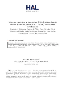 Missense Mutation in the Second RNA Binding Domain Reveals a Role for Prkra (PACT/RAX) During Skull Development Benjamin K
