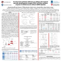 Succinyl-Coa Synthetase Deficiency in Siblings with Impaired Pyruvate Dehydrogenase Complex (PDC) and Other Oxidative