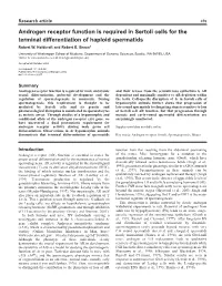 Androgen Receptor Function Is Required in Sertoli Cells for the Terminal Differentiation of Haploid Spermatids Robert W