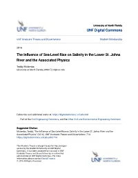 The Influence of Sea-Level Rise on Salinity in the Lower St. Johns River and the Associated Physics