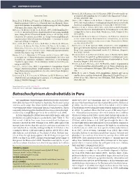 Batrachochytrium Dendrobatidis in Peru