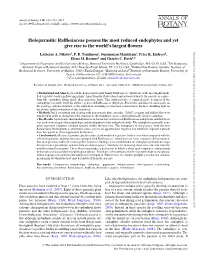 Holoparasitic Rafflesiaceae Possess the Most Reduced Endophytes And