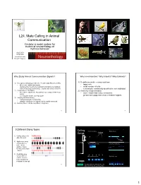 Sound Localization