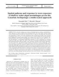 Spatial Patterns and Response to Wave Exposure of Shallow Water Algal Assemblages Across the Canarian Archipelago: a Multi-Scaled Approach