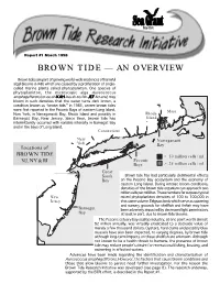 Brown Tidetide —— Anan Overviewoverview
