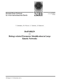Biology-Related Parameter Identification in Large Kinetic